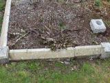 image of grave number 643475